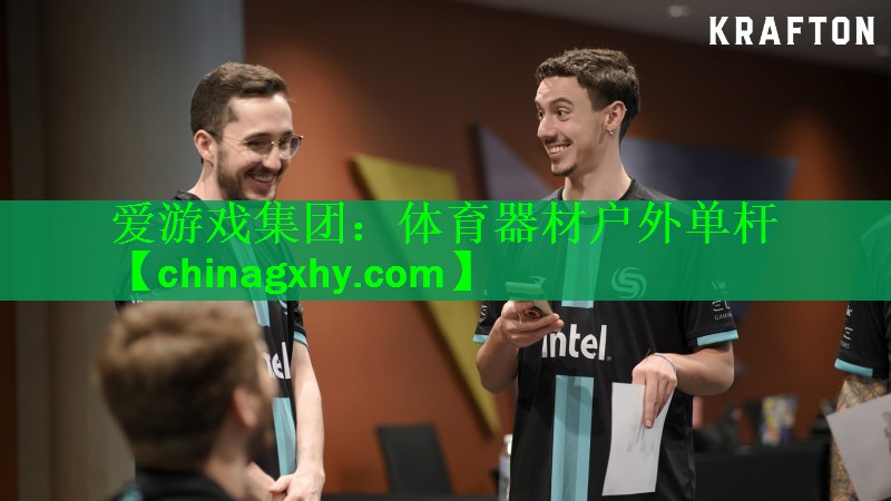 <strong>爱游戏集团：体育器材户外单杆</strong>