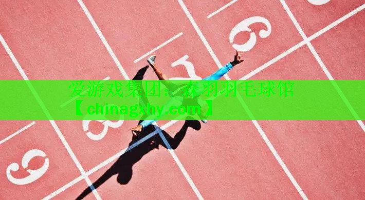 <strong>爱游戏集团：森羽羽毛球馆</strong>