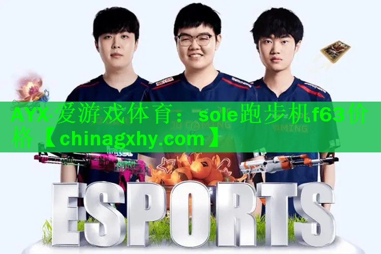 AYX·爱游戏体育：sole跑步机f63价格