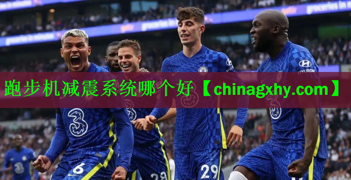 跑步机减震系统哪个好