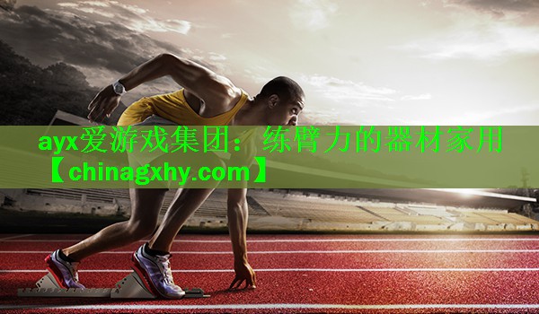 练臂力的器材家用