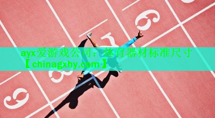 体育器材标准尺寸
