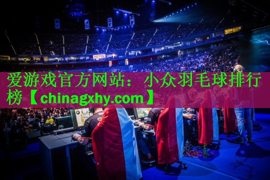 小众羽毛球排行榜