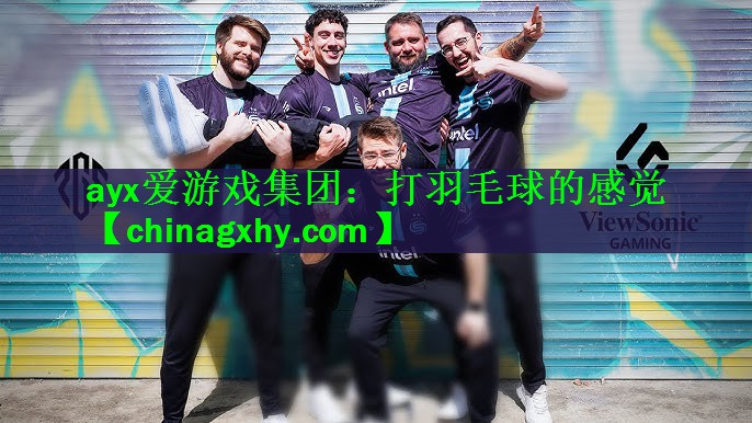 打羽毛球的感觉