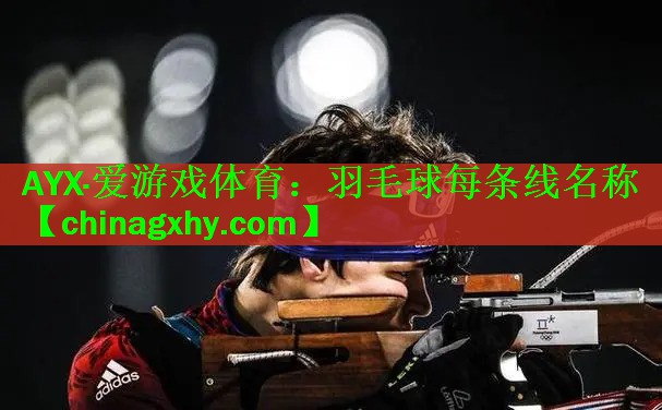 羽毛球每条线名称