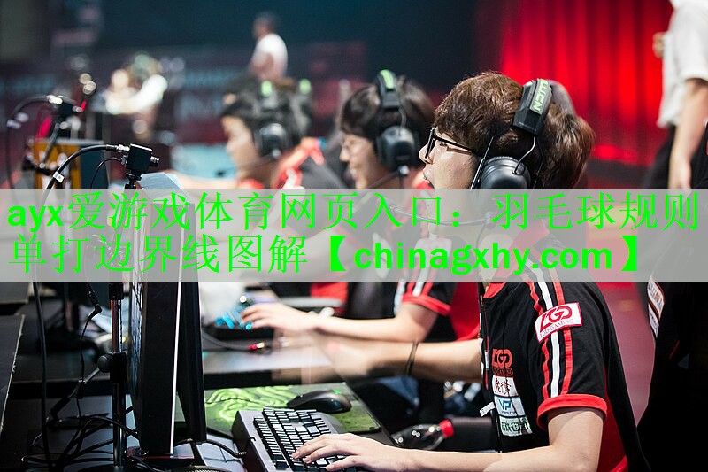 羽毛球规则单打边界线图解